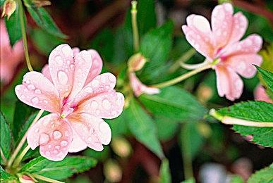 共享世界生存锻造RPG《夜莺》20分钟演示